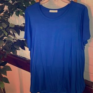 Flutter Sleeve Blue Top